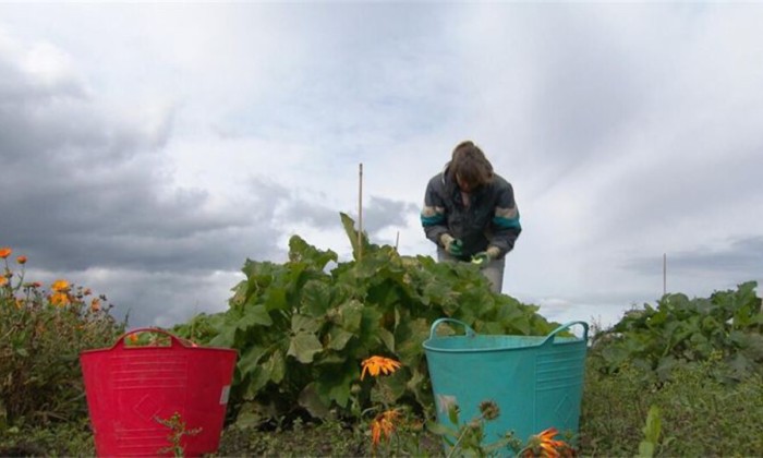 Afl 9 natuur