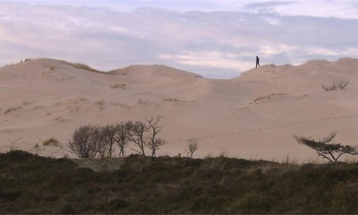 36natuur