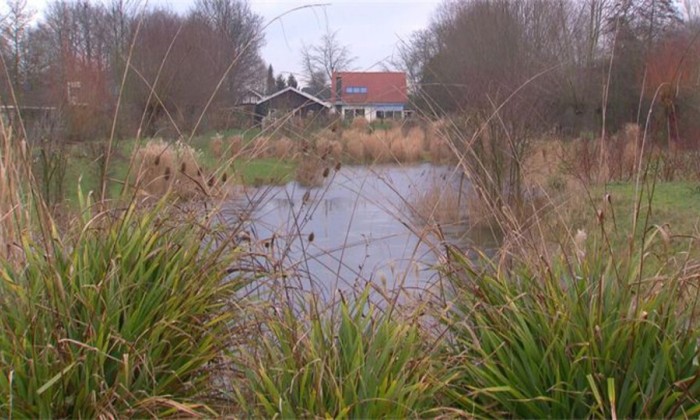 33natuur