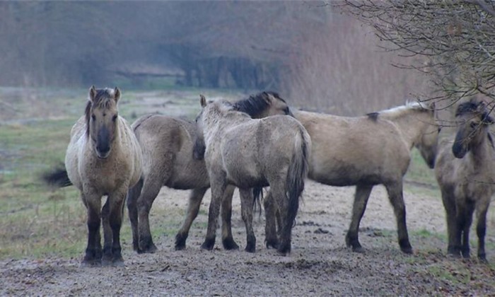 30natuur