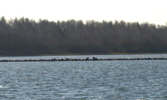 58 natuur