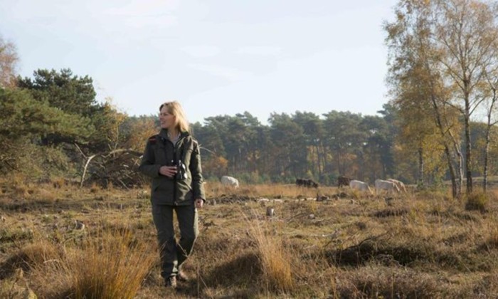 43natuur