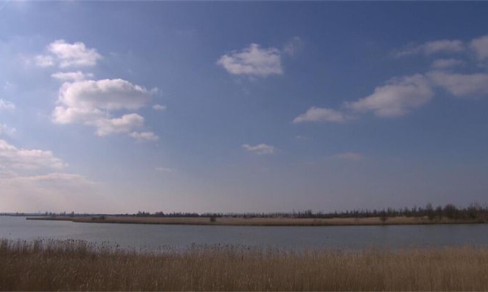 66natuur
