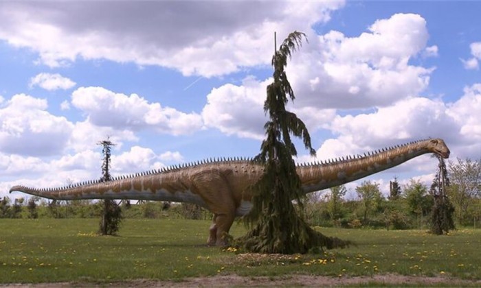 99natuur3