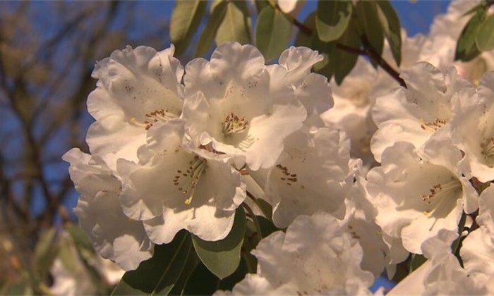 87natuur3