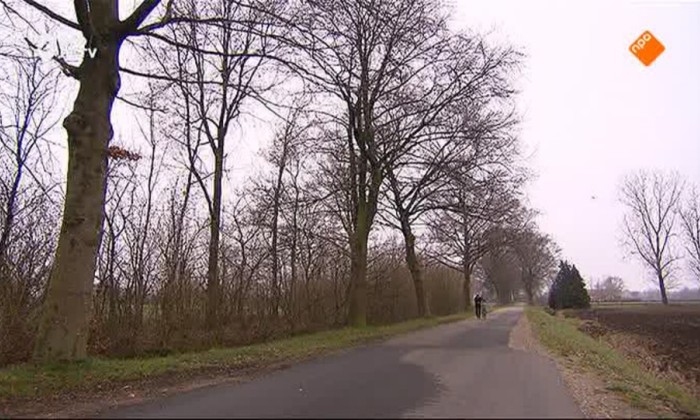 BinnensteBuiten