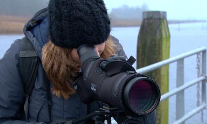 aflevering 22