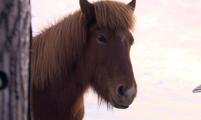 Aflevering 34