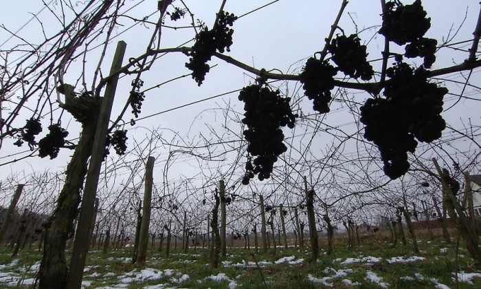 Aflevering 40
