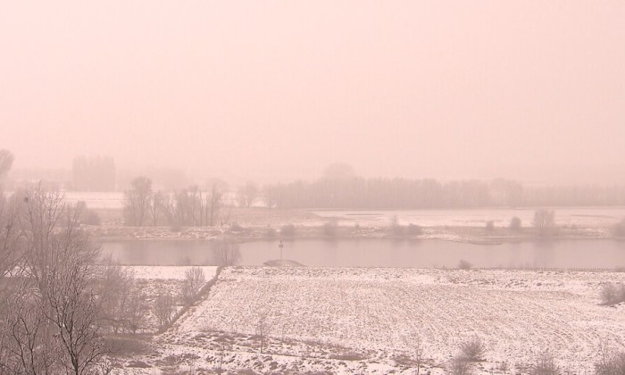 Aflevering 42
