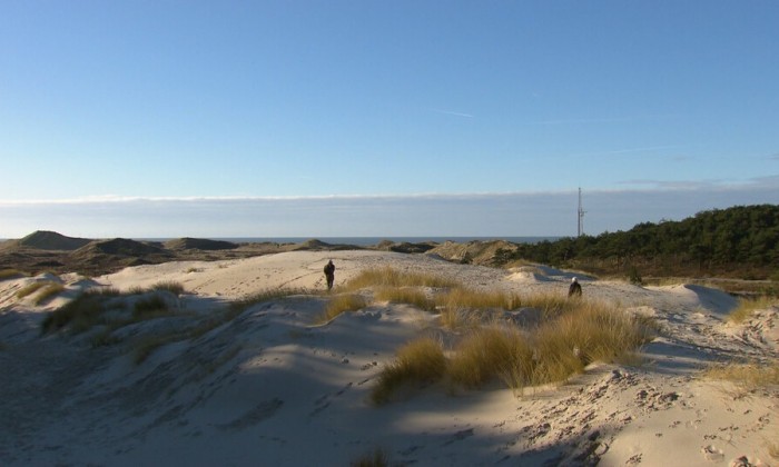 Weekendeditie 9