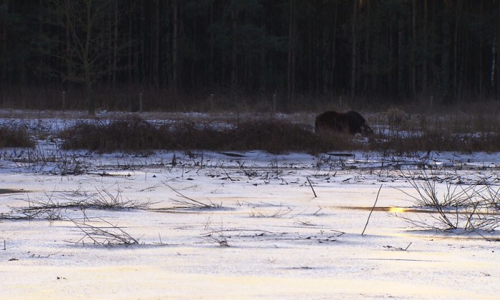 Aflevering 47