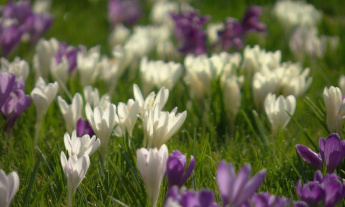 Aflevering 66