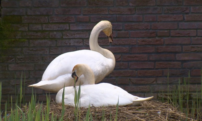 Aflevering 91
