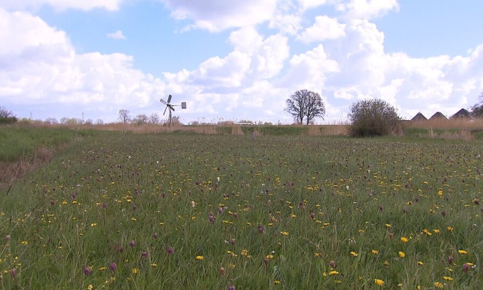 Aflevering 92
