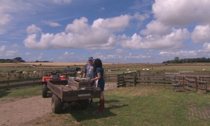 Aflevering 99