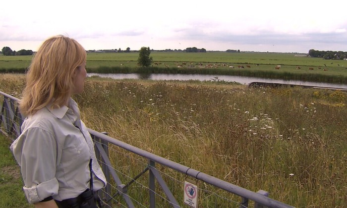 Aflevering 106