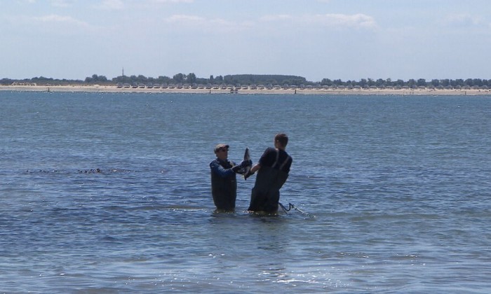 Aflevering 108