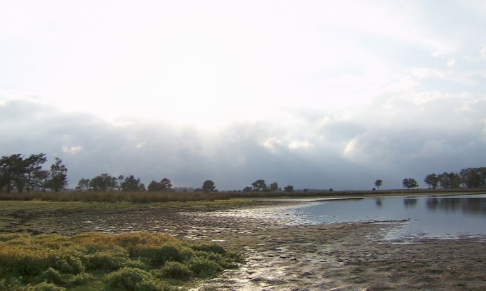 Aflevering 116