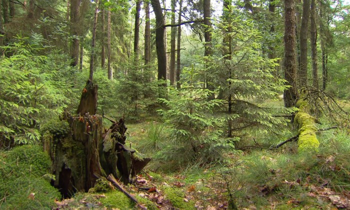 Aflevering 121