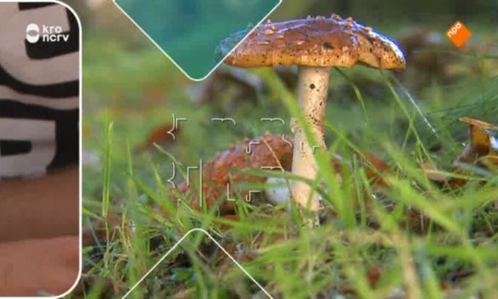BinnensteBuiten