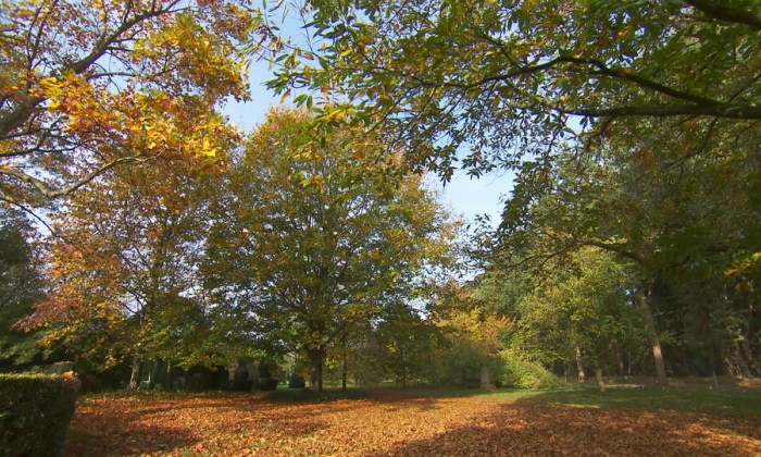 Aflevering 156