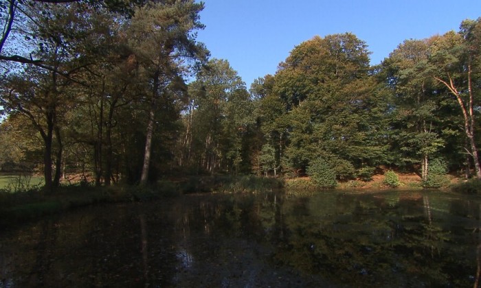 Aflevering 160