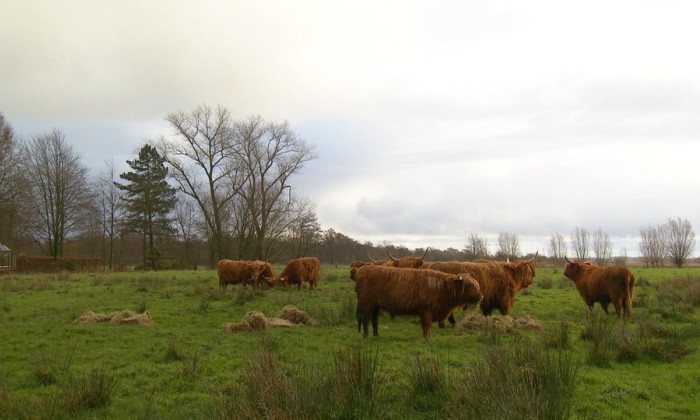 Aflevering 175