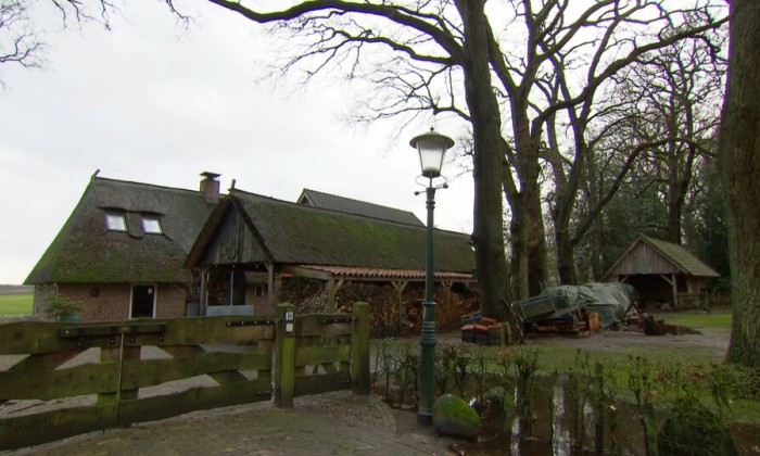 Aflevering (29)