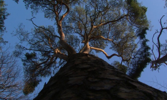 Aflevering 30
