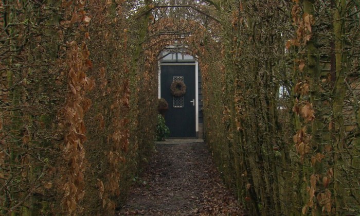Aflevering 31