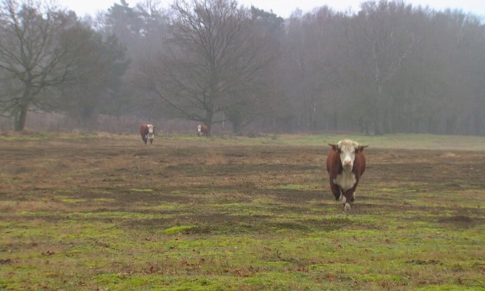 Aflevering 33