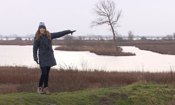 Aflevering 36