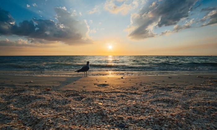 Speurzoeken op het strand op Texel