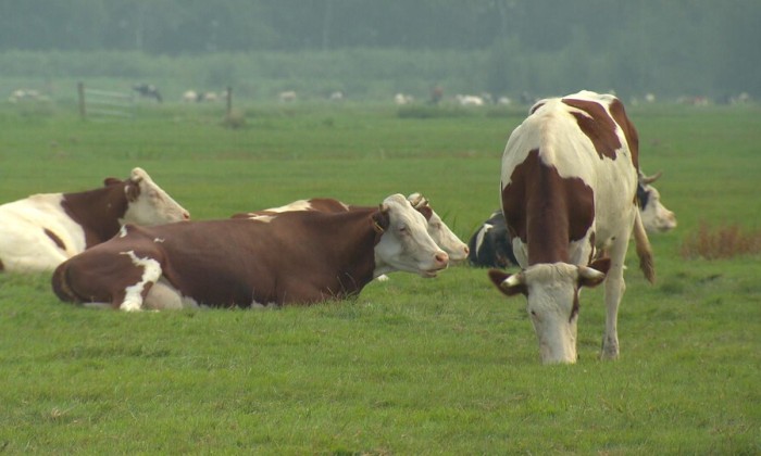 aflevering 118