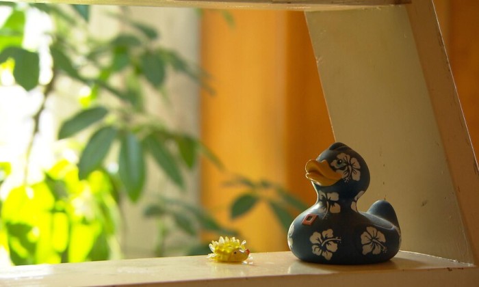 aflevering 138