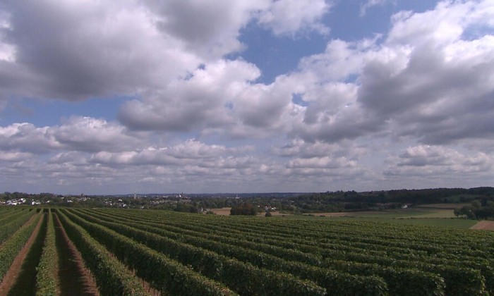 Aflevering 142