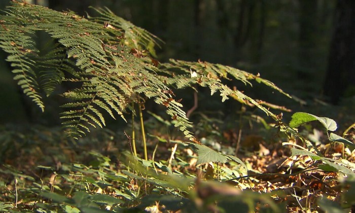 aflevering 143