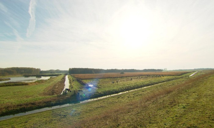 aflevering 158