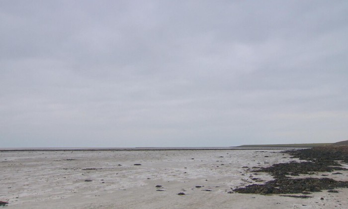 Aflevering 1