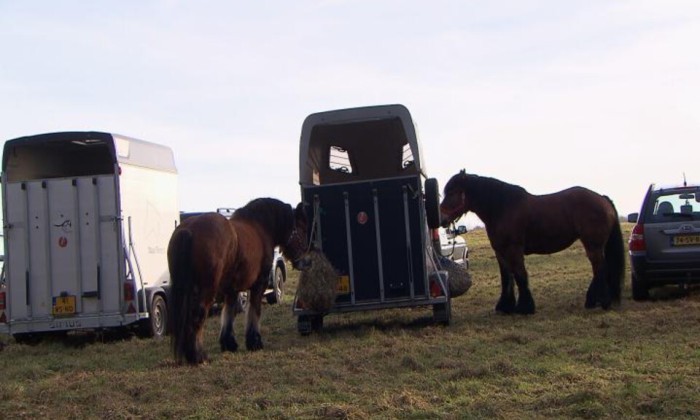 aflevering 58