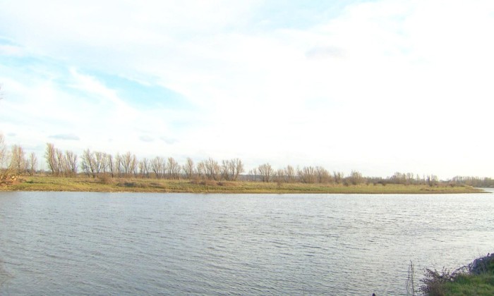 aflevering 60
