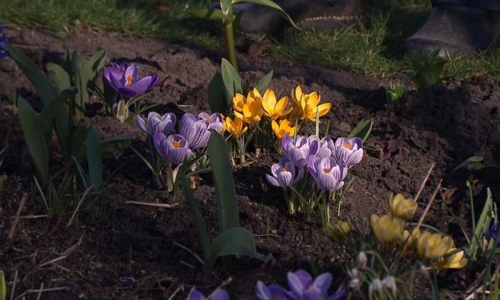 Aflevering 61