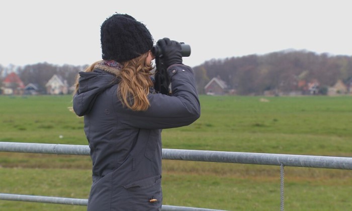 Aflevering 86