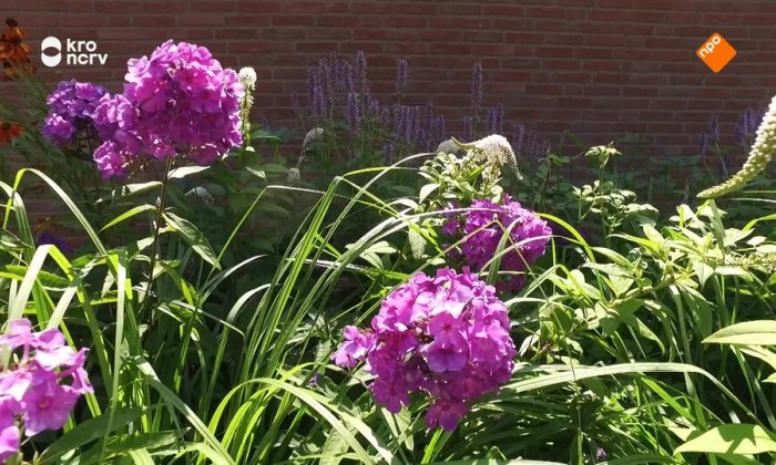 BinnensteBuiten
