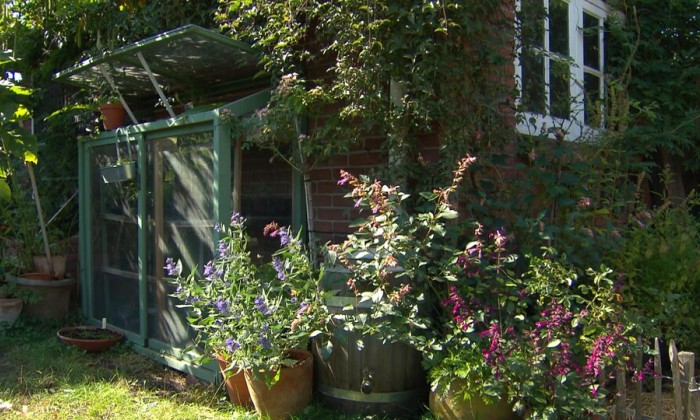 Eco tuinieren in de herfst still