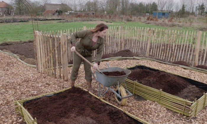 Balans in de BB moestuin