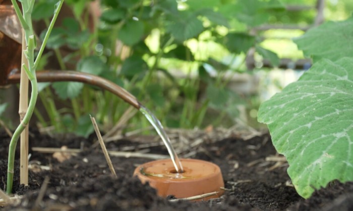 Duurzaam tuinieren met Anne - Olla