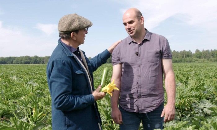 Alain bezoekt aardbeien- en courgetteteler
