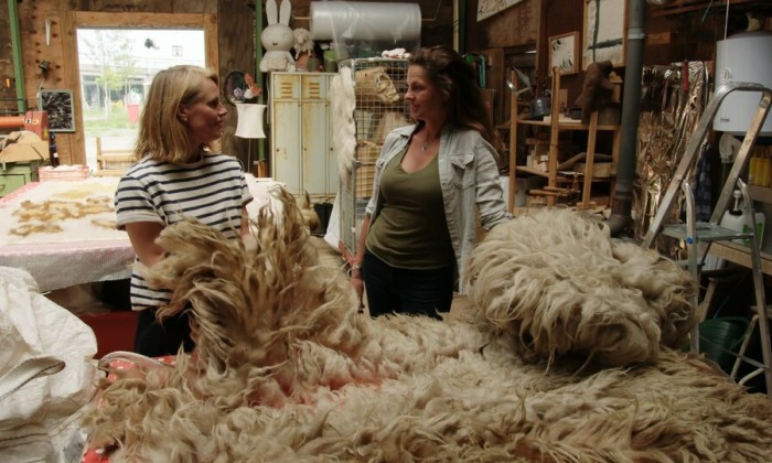 Wolkorrels in Haarlem